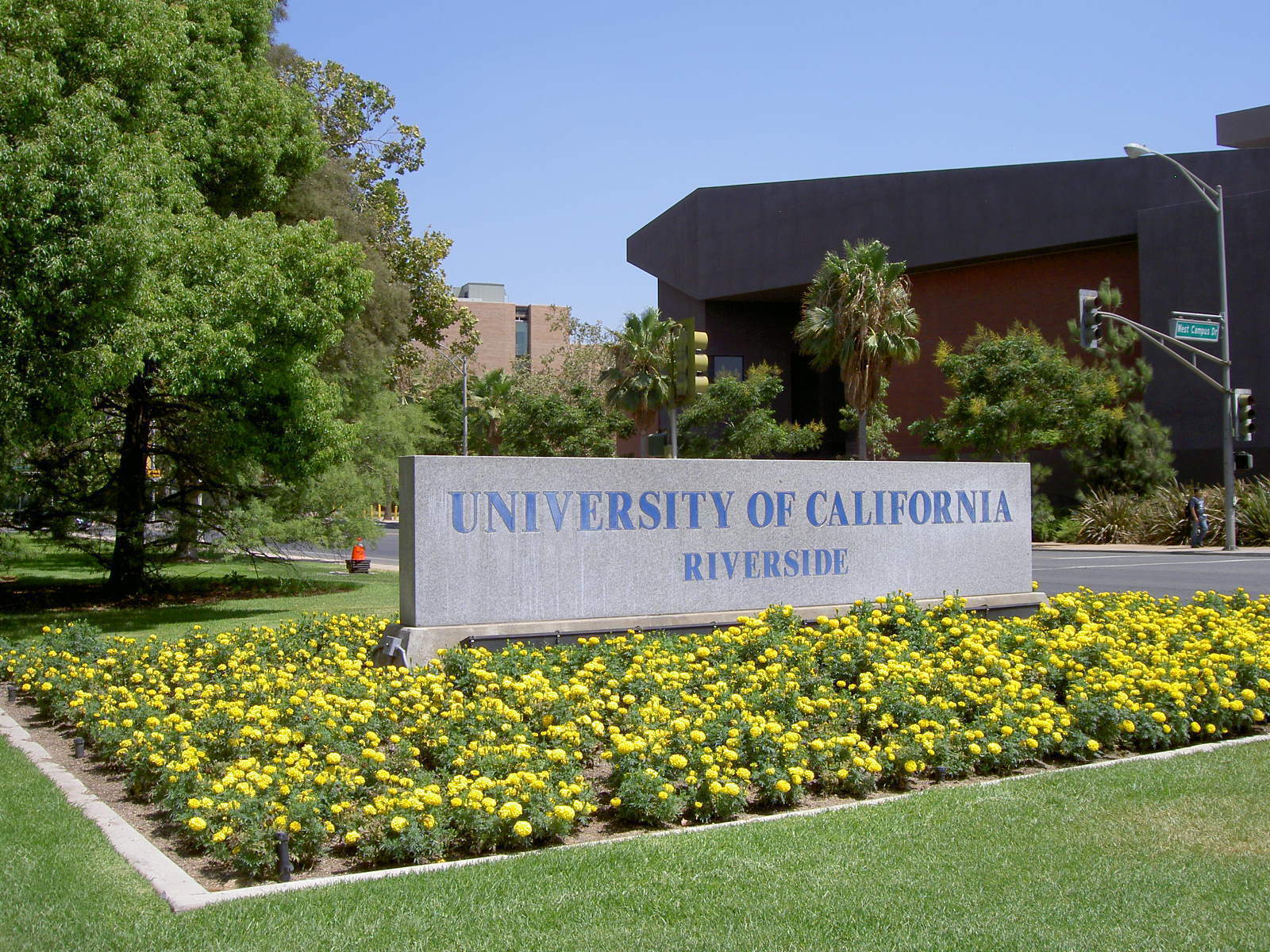 商業證書OPT–University of California, Riverside 加利福尼亞大學河濱分校 大學附設語言課程&學位課程